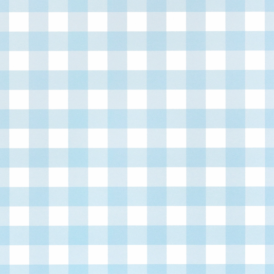 Signature Gingham Blue Fabric