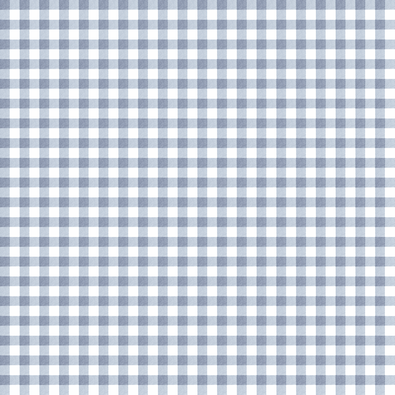 Maison de Frederic Gingham Blue Wallpaper
